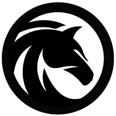BS,Black Stallion