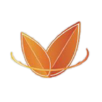 金農(nóng)鏈