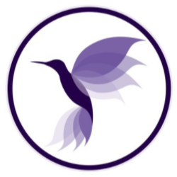 蜂鳥(niǎo)