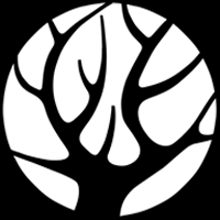 葉脈網(wǎng)絡(luò)