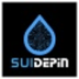 Sui DePIN