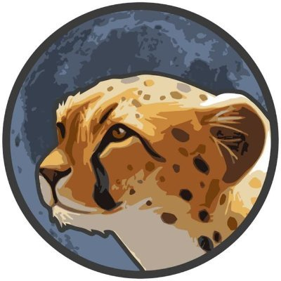 CHTT,Cheetah token