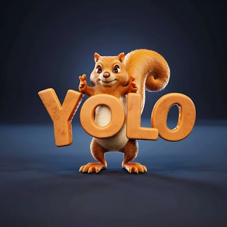 YOLO,YOLO
