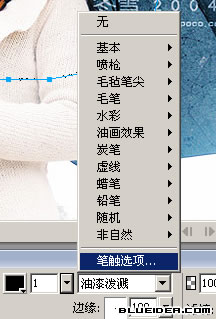 Fireworks教程:MM照片破边缘
