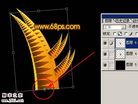 Photoshop 抽象的海螺效果