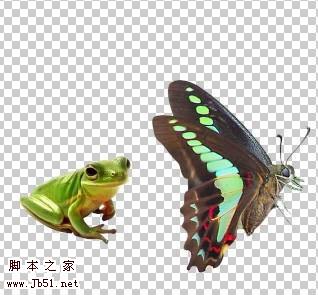 photoshop 可愛的綠色花紋水晶字