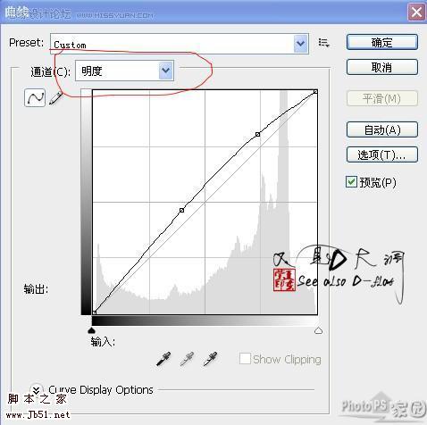 超精細(xì)的美女轉(zhuǎn)淡紅色手繪效果