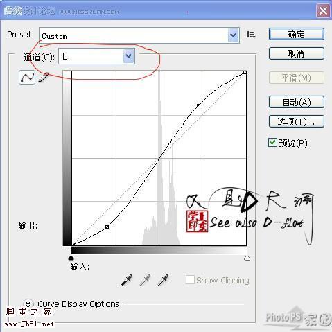 超精細(xì)的美女轉(zhuǎn)淡紅色手繪效果