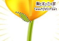 Photoshop 一朵可愛(ài)的卡通郁金香