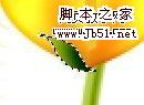 Photoshop 一朵可愛(ài)的卡通郁金香