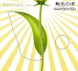Photoshop 一朵可愛(ài)的卡通郁金香