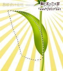 Photoshop 一朵可愛(ài)的卡通郁金香