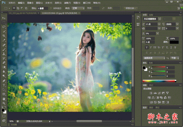 Adobe Photoshop CS6 中文精简版(汉化安装版) 精简至124M 下载-脚本之家