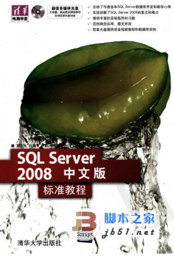 SQL Server 2008 中文版标准教程 清晰扫描 PDF版 [121M]