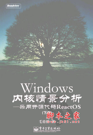Windows 内核情景分析 下 毛德操著 中文 PDF版 [189M]