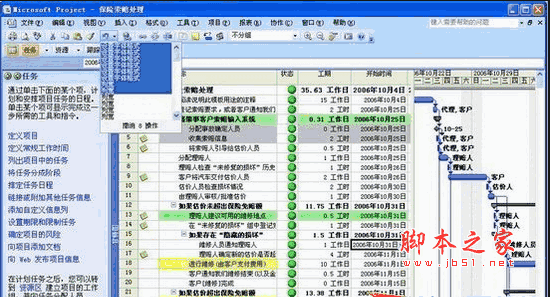 Project Professional 2007(企业项目管理)  中文免费特别版