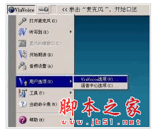 IBM ViaVoice Pro v9.1 简体中文版