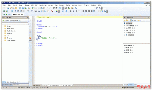Blumentals Rapid PHP 2014(PHP代码编辑器) v12.3.0.152 英文特别安装版