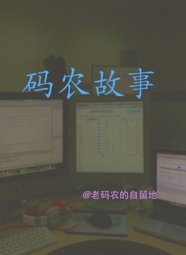 老码农原创小说《码农故事》全本PDF版