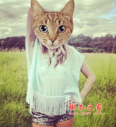 catwang(美图软件) v3.2 安卓版