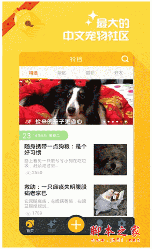 铃铛宠物社区 for android V3.7.0 安卓版 下载--六神源码网
