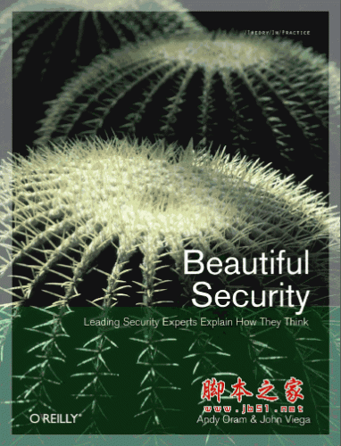 安全之美 Beautiful Security 英文pdf文字版