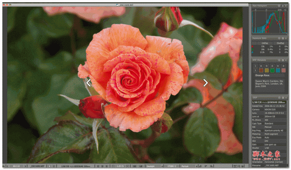 LibRaw FastRawViewer 圖像工具 for Mac 特別版 1.2.0.719 蘋果電腦版