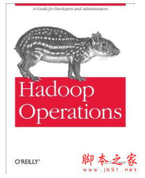 Hadoop Operations PDF英文版