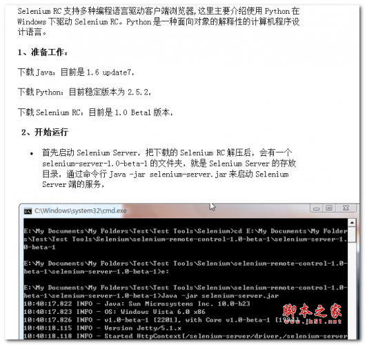 使用Python进行Selenium自动化测试 中文WORD版