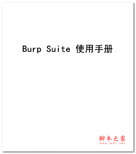 Burp Suite使用手册 中文WORD版 7.94MB