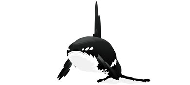 JS实现的3D海豚鼠标跟随游动动画特效源码