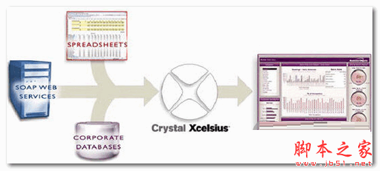 水晶易表(Crystal Xcelsius Professional) 专业版 V4.5 多语中文安装特别版(附注册机)