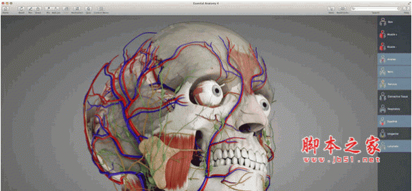 Essential Anatomy 5 for Mac (3D解剖圖學(xué)習(xí)工具) 5.0 蘋果特別版
