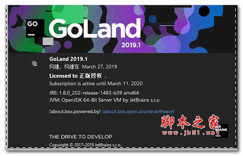 goland 2019汉化包下载