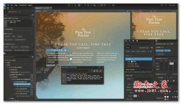 Pinegrow Web Editor Pro(web编辑器) v6.3 安装破解版 32位