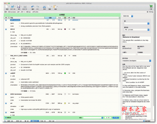 SnapGene for Mac(DNA序列分析软件) v4.3.6 中文永久激活版