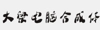 大梁电脑合成体