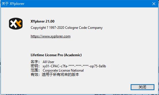 XYplorer(文件管理) v25.90.0100 中文绿色免费版 附步骤