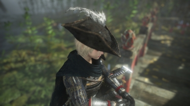 仁王2血源玛利亚的帽子MOD 免费版