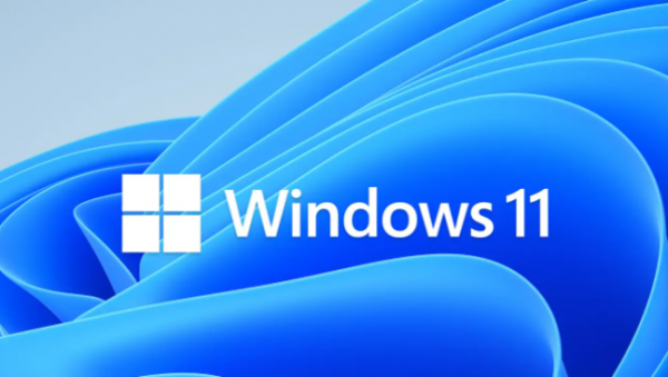Windows 11 专业小修精简版 v22621.2215 中文优化纯净极速体验[2GB]