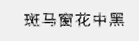 斑馬窗花中黑字體