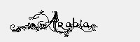 Arabia 英文字体