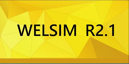WELSIM破解补丁 v2022 v2.1.6689 x64 附激活教程
