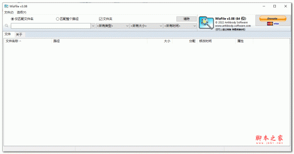 WizFile文件搜索工具 v3.08 绿色中文版