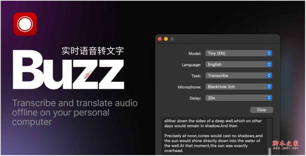 Buzz(离线语音转文字工具) v0.7.0 免费安装版