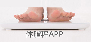 體脂秤app哪個好用_體脂秤要下載什么app_體脂秤app精選排行榜