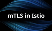 什么是相互身份驗(yàn)證TLS(mTLS)？mTLS如何運(yùn)作、如何使用？