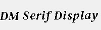 DM Serif Display 英文字体