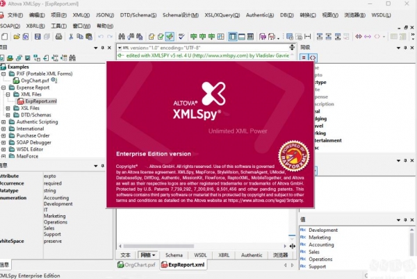 XML编辑器 Altova XMLSpy 2024 Professional Edition 官方安装版