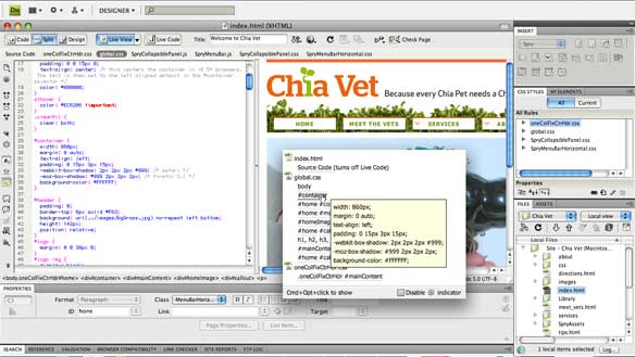 Adobe Dreamweaver CS4 简体中文绿色便携版